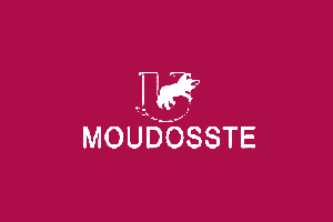 MOUDOSSTE