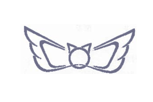 翅膀图形