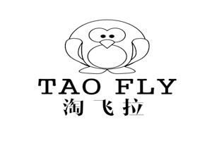 淘飞拉 TAO FLY