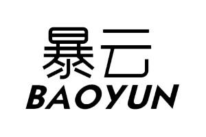 暴云+BAOYUN