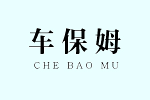 车保姆+CHE BAO MU