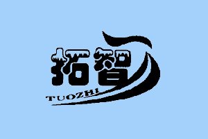 拓智+TUOZHI