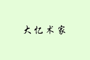 大忆术家